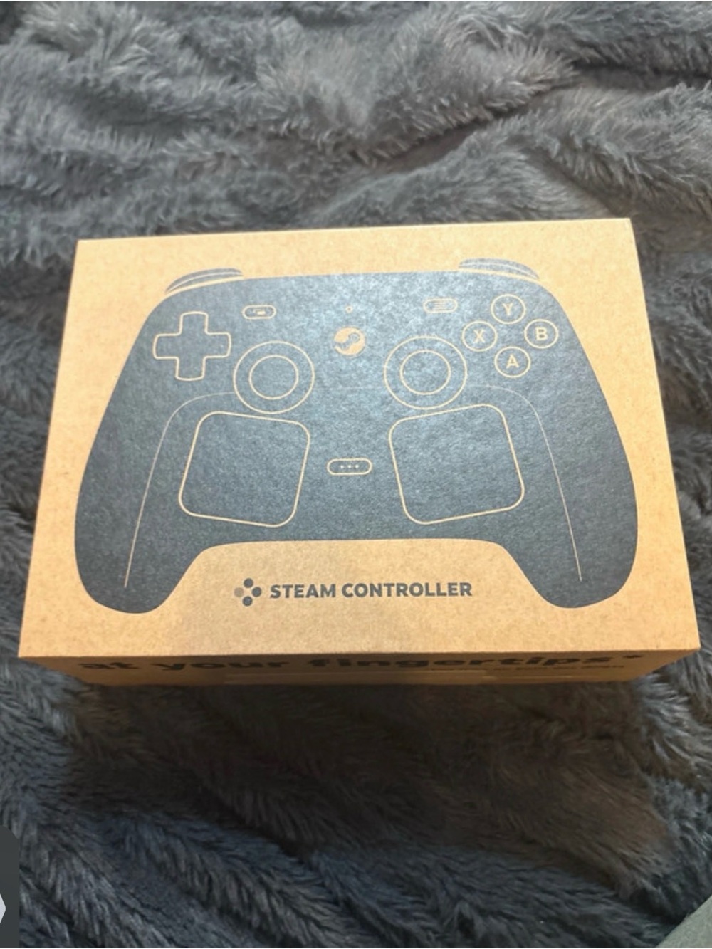 Controller - Brown Kraft Packaging